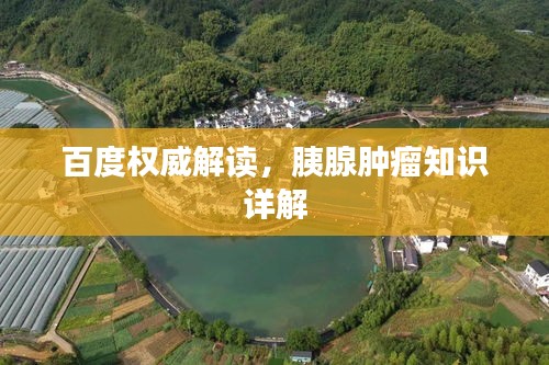 百度权威解读，胰腺肿瘤知识详解