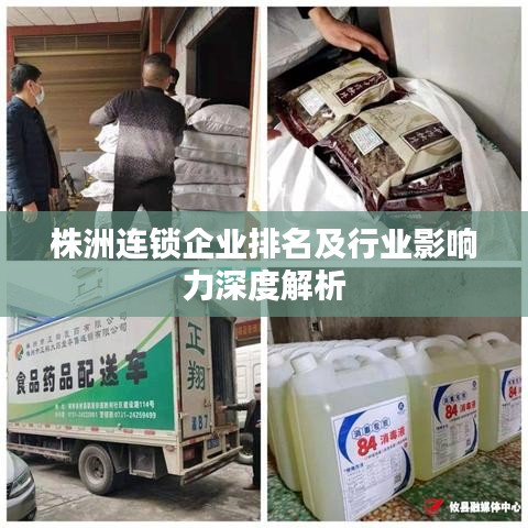 株洲连锁企业排名及行业影响力深度解析
