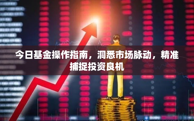 今日基金操作指南，洞悉市场脉动，精准捕捉投资良机