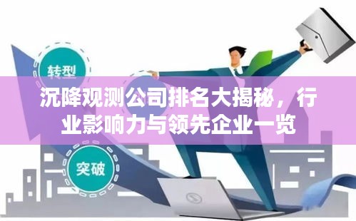 沉降观测公司排名大揭秘，行业影响力与领先企业一览