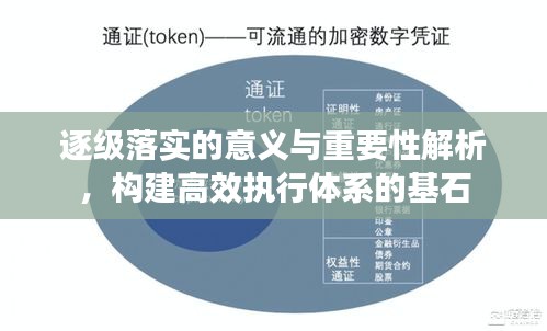 逐级落实的意义与重要性解析，构建高效执行体系的基石