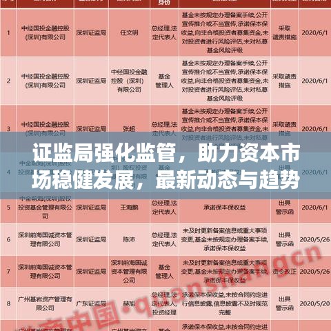 证监局强化监管，助力资本市场稳健发展，最新动态与趋势分析