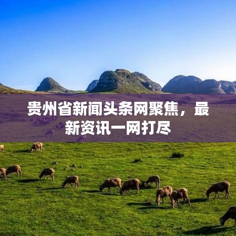 贵州省新闻头条网聚焦，最新资讯一网打尽