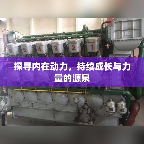探寻内在动力，持续成长与力量的源泉