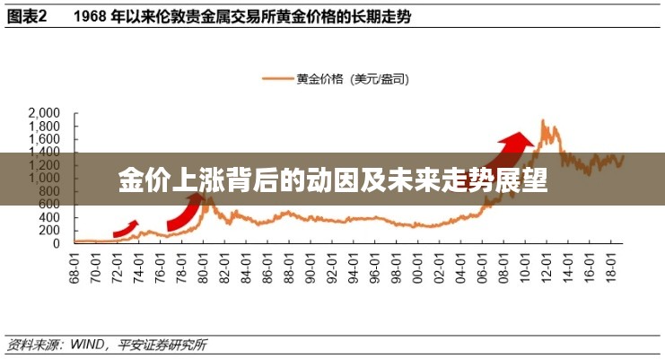 金价上涨背后的动因及未来走势展望